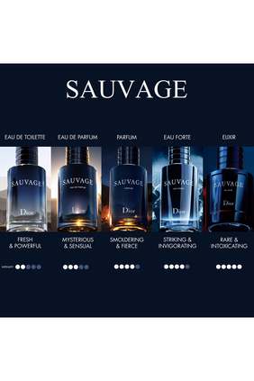 بخاخ عطر سوفاج بحجم مناسب للسفر