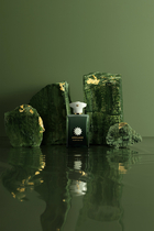 عطر مركز بيربس 50