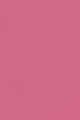 Blushing Pink