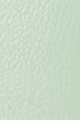 Light/Pastel Green (New)