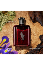 عطر بولو ريد