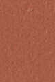 308 - Lucy Dark Orange