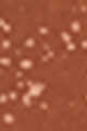 02 Coral Splash - Golden Apricot