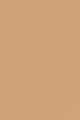 Light Bronze with neutral undertones