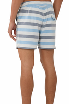 Clipper Broad Stripes Swim Shorts
