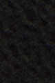 أسود