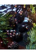 عطر إليسيوم نوار