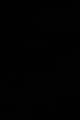 أسود