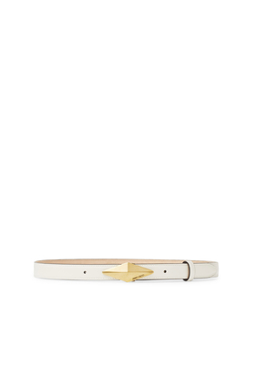 Diamond Clasp Belt