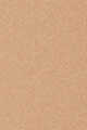 Light Medium Warm 2
