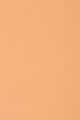 WN 13 Cream