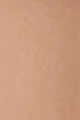Beige rose 4