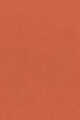 N°302 WARM MAPL