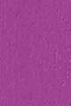 Anne Lilac