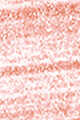 4 Coral