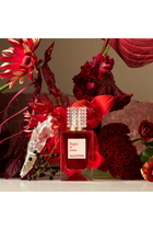 عطر أناتومي أوف دريمز - سوغنو إن روسو
