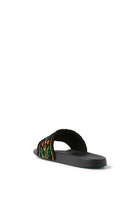 Laurel Terry Slides