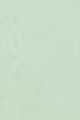 Light/Pastel Green (New)