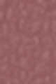 219 Mary Mauve