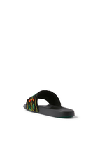 Laurel Terry Slides