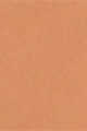 Light to Medium Peach