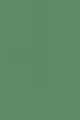 461 Matte Green