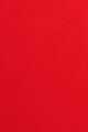 INCENDIAIRE