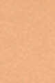 05 Neutral