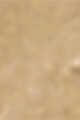 عاجي