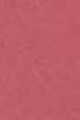 128R NUDE AT LAST-