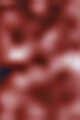 N°5 روز وود