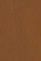 440N Neutral Medium Deep