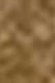 Taupe - 02