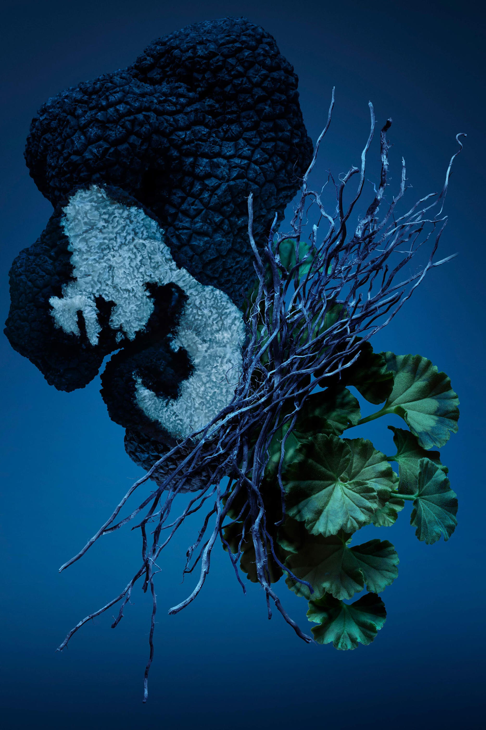 أو دو بارفان باد بوي كوبالت