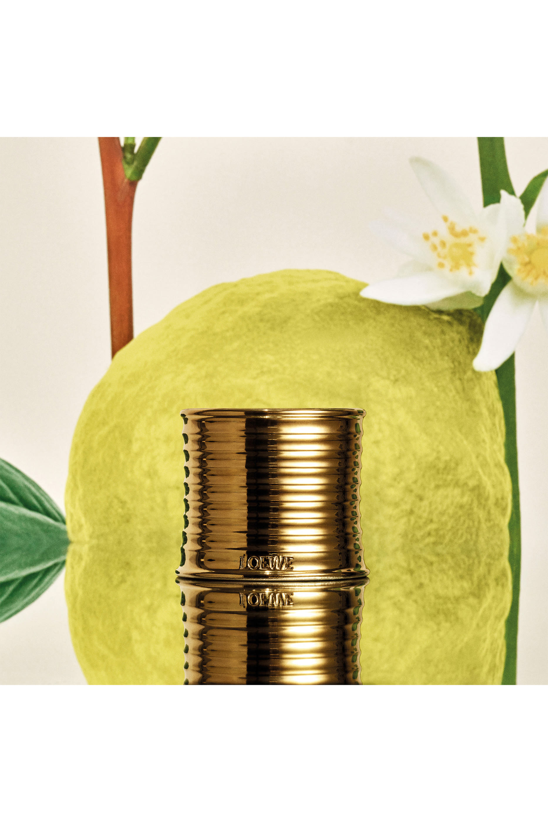 شمعة إيرل جراي معطرة