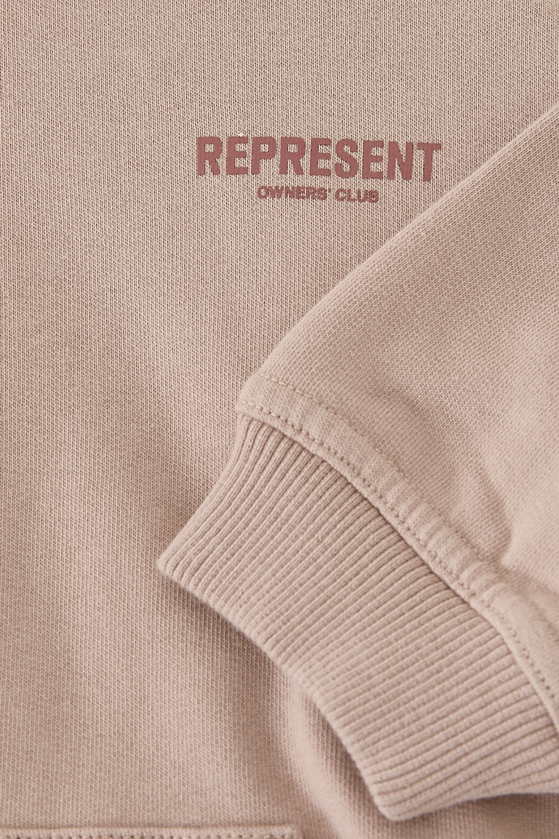 Kids Mini Owners Club Hoodie