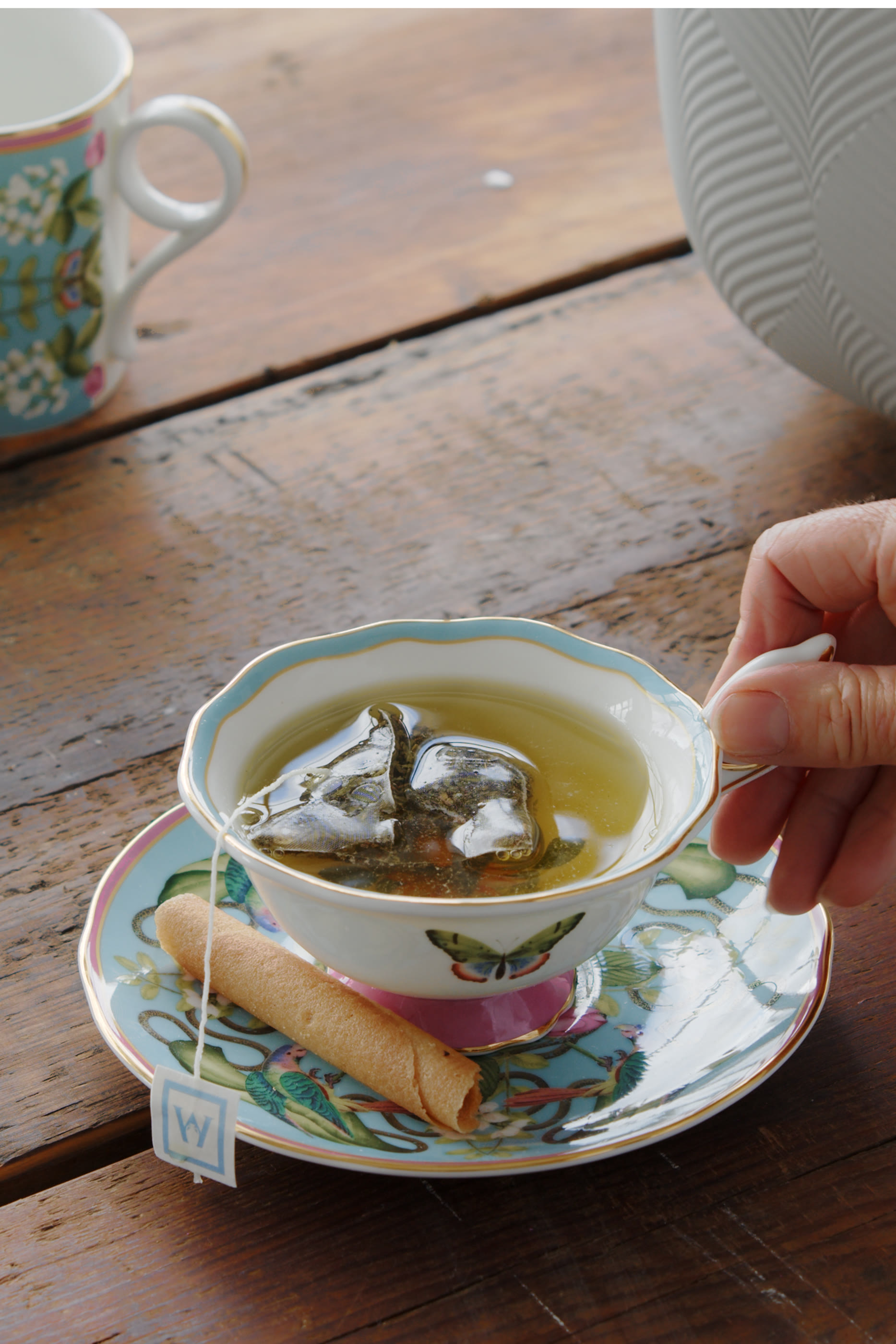 Wonderlust Menagerie Teacup & Saucer