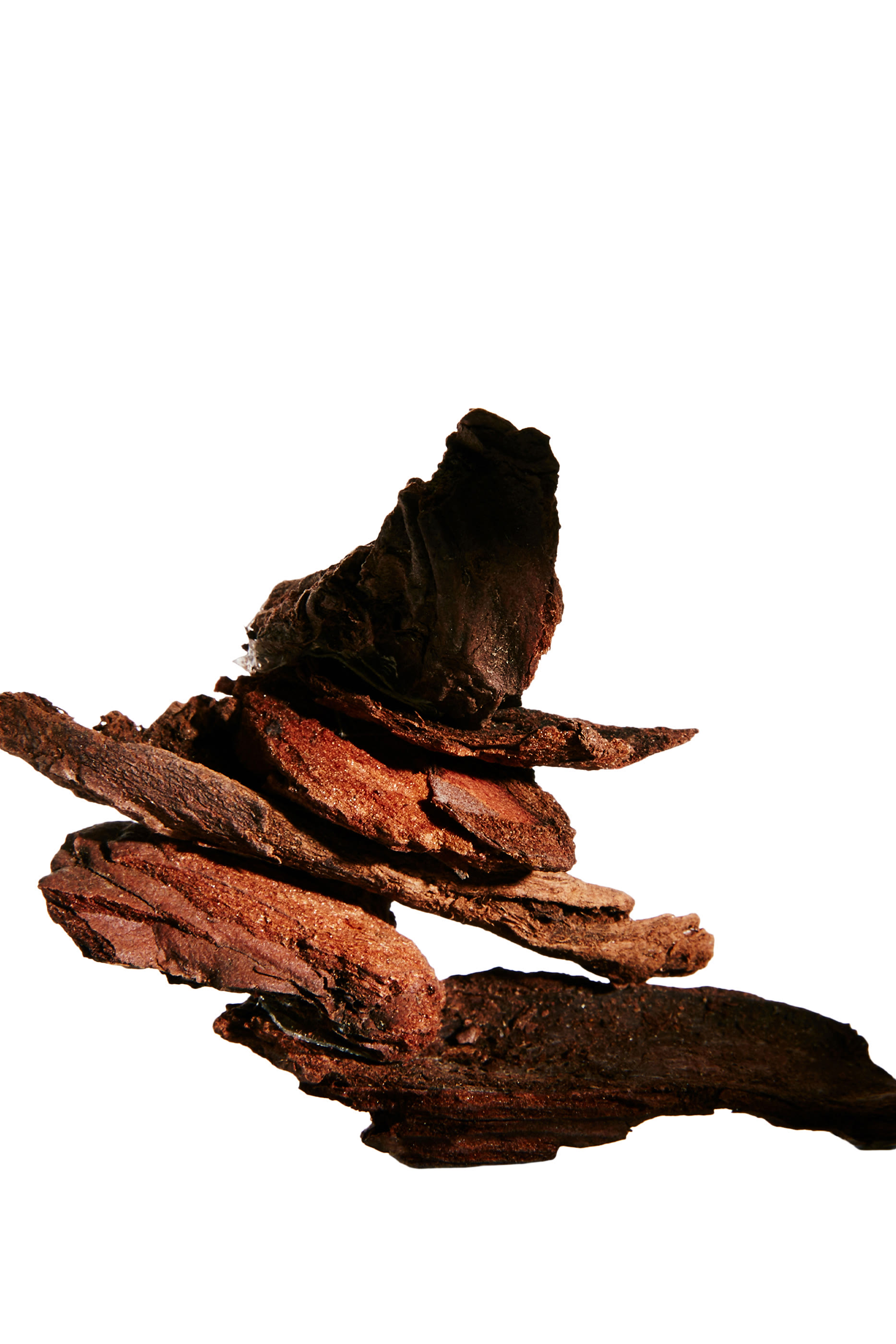 أو دو بارفان أون باسيو بور مدريد ديبود