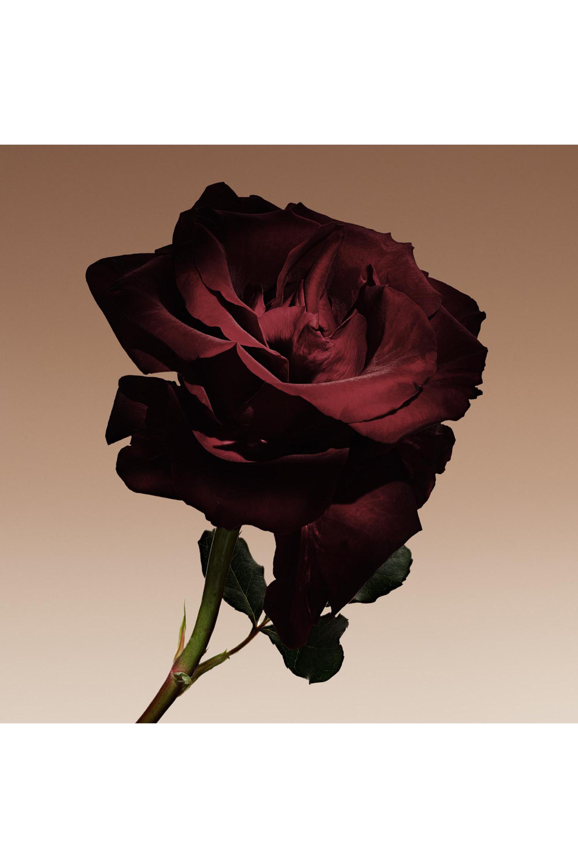 أو دو بارفان بريفي كوير نو