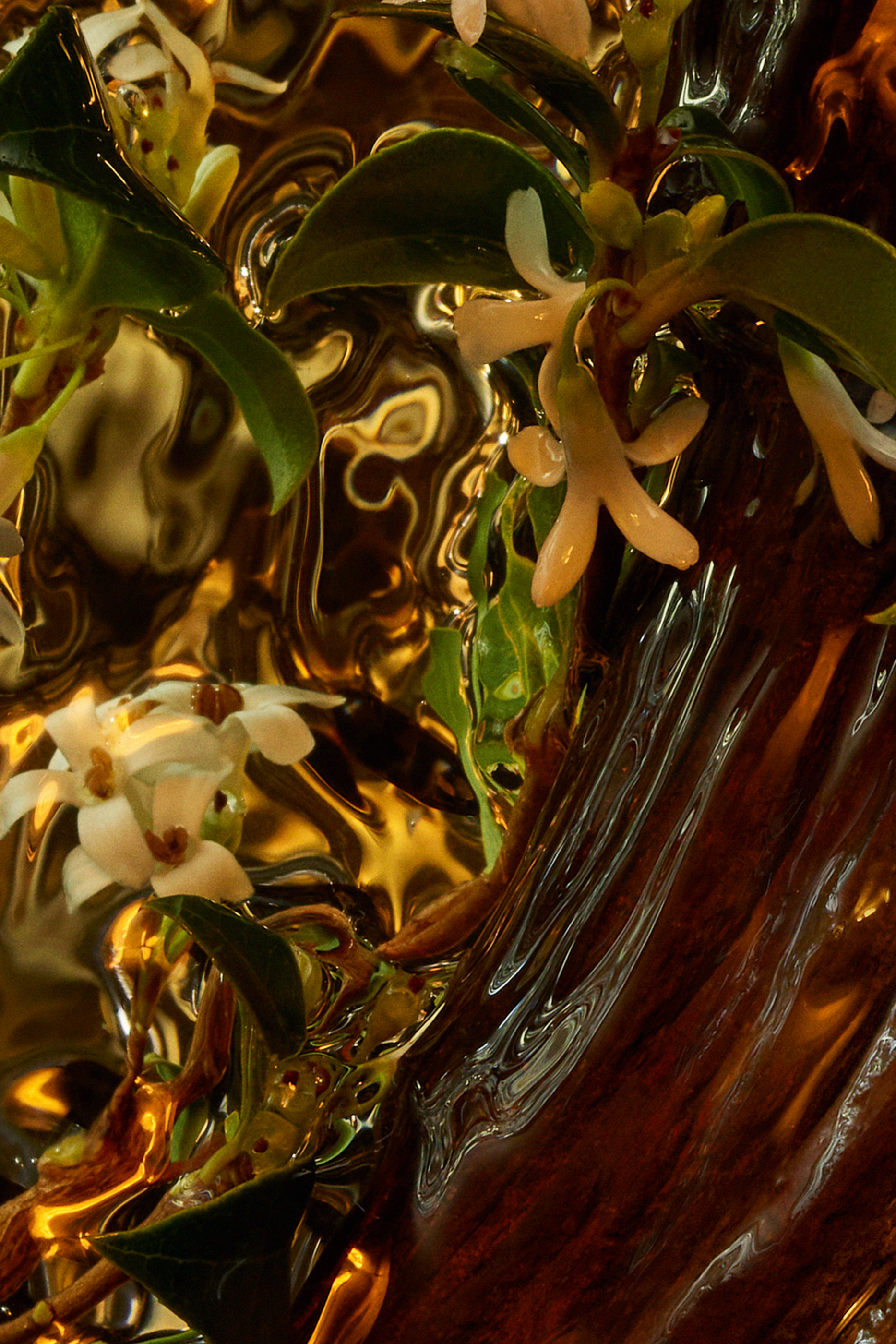 أو دو بارفان كوير إنتنس