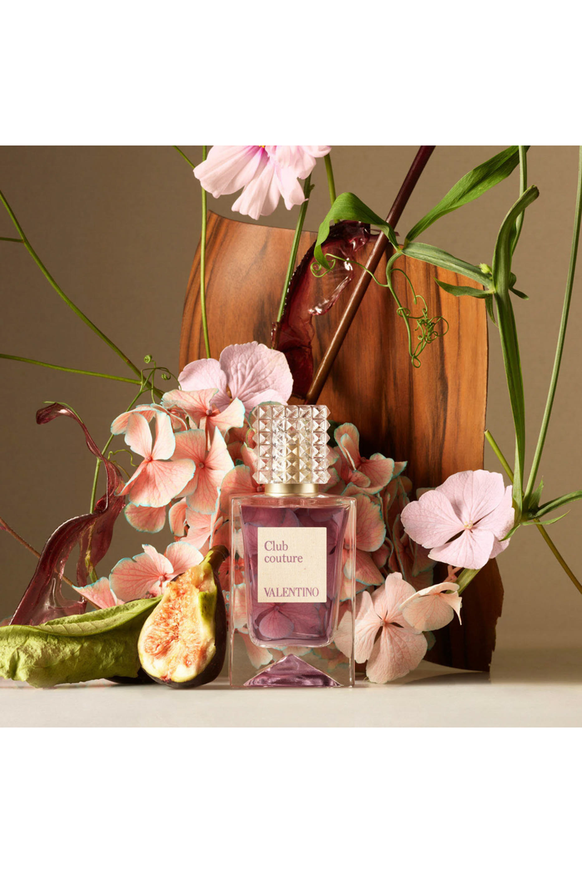 عطر أناتومي أوف دريمز - كلوب كوتور