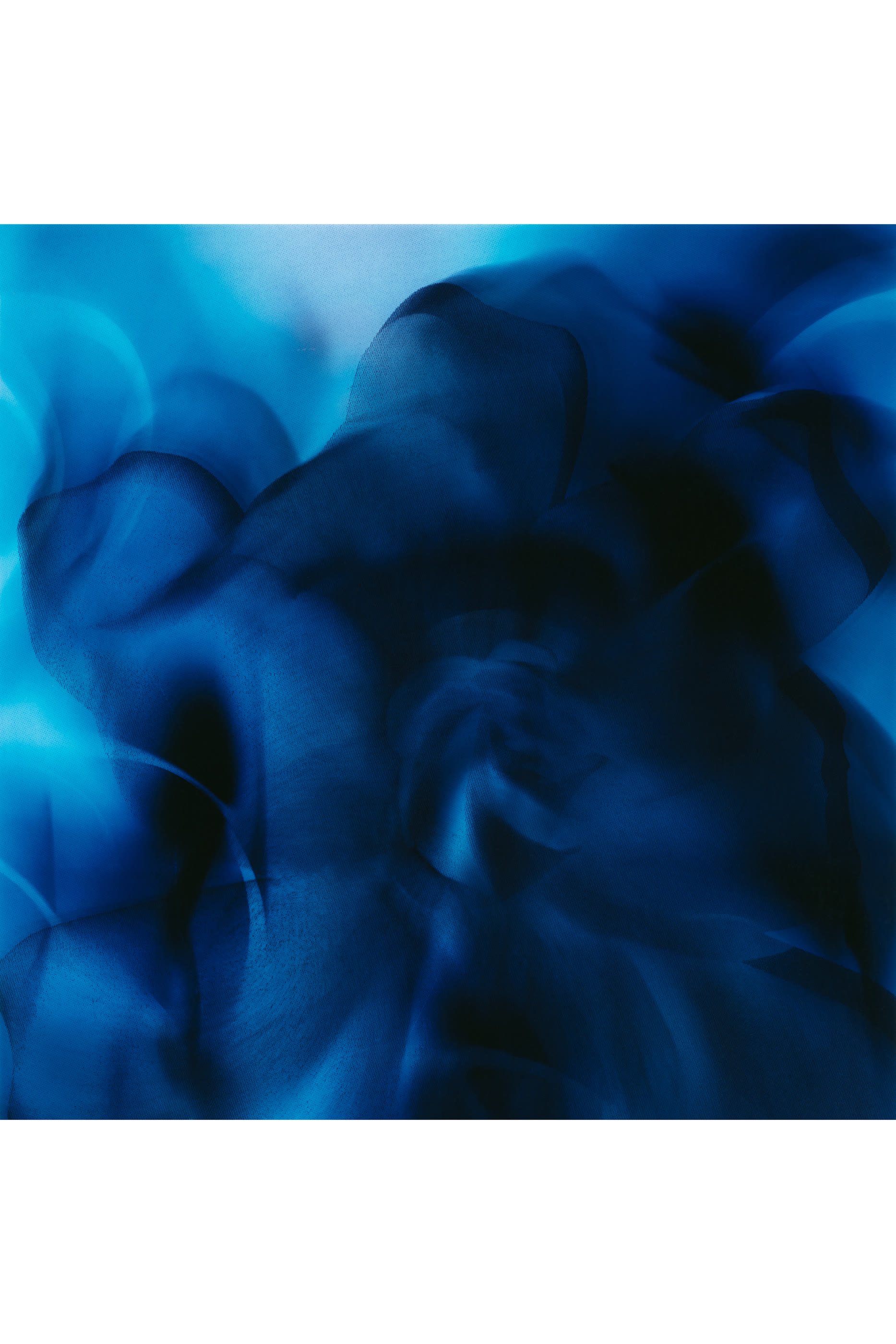 عطر مركز كازابلانكا ليلي