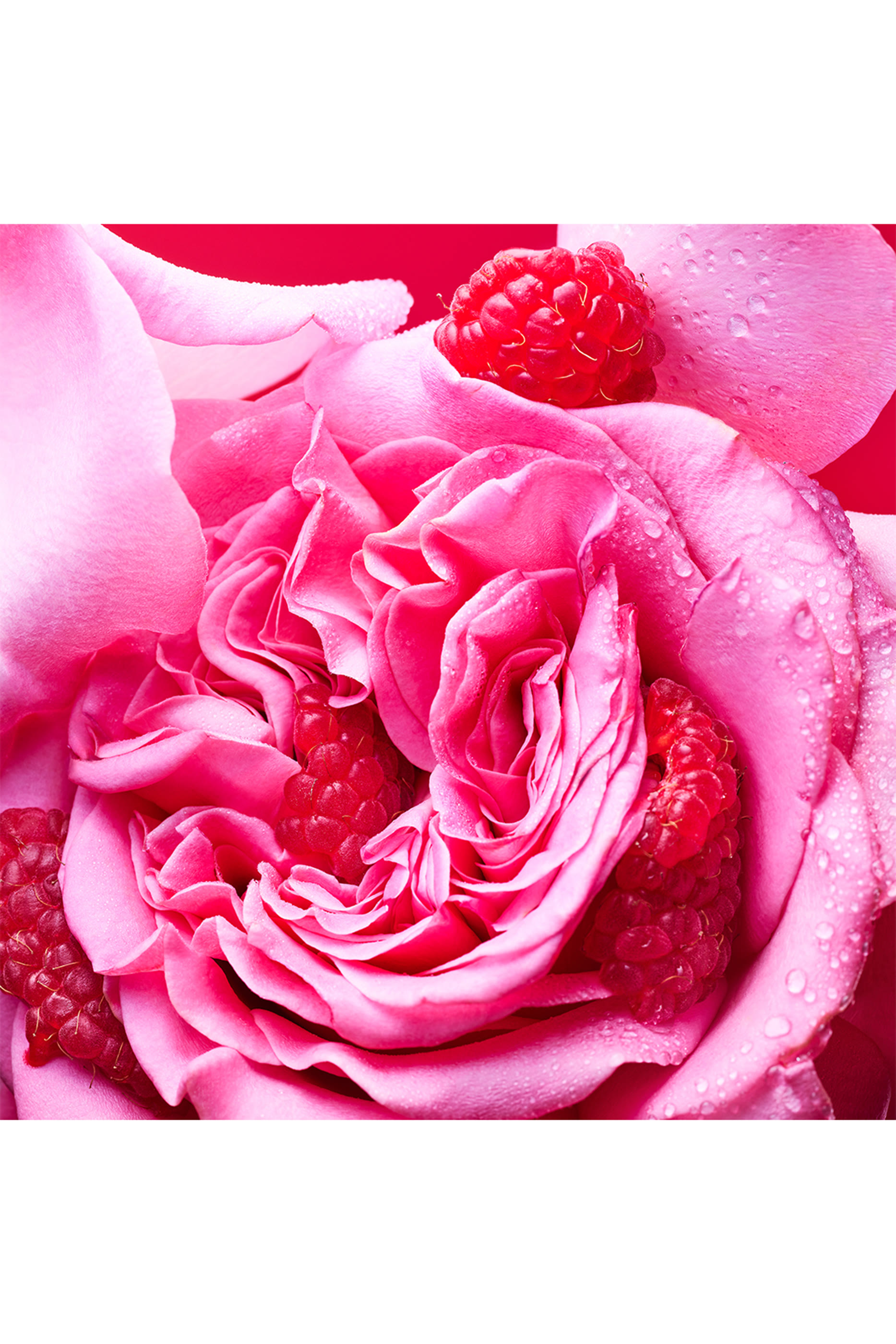 صابون أليجرا فيوري دامور سائل