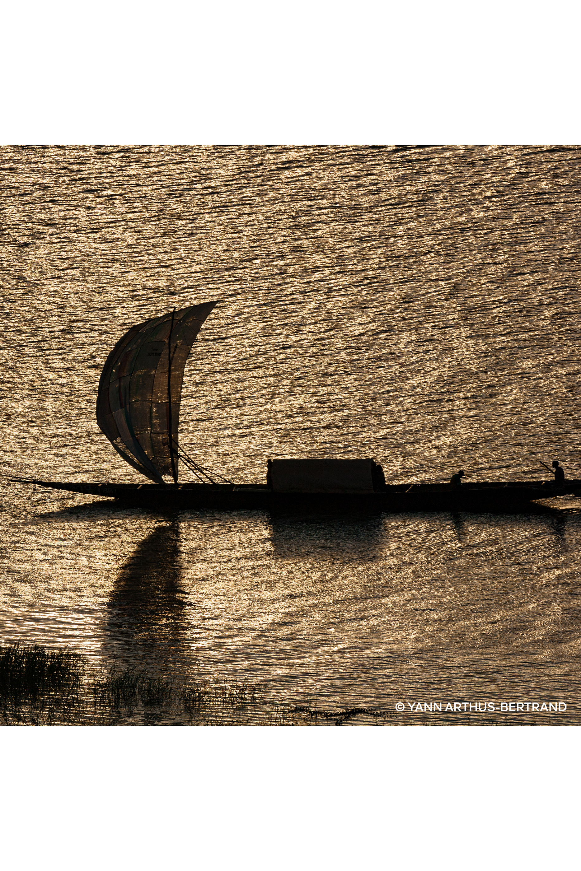 أو دو بارفان سانتال رويال