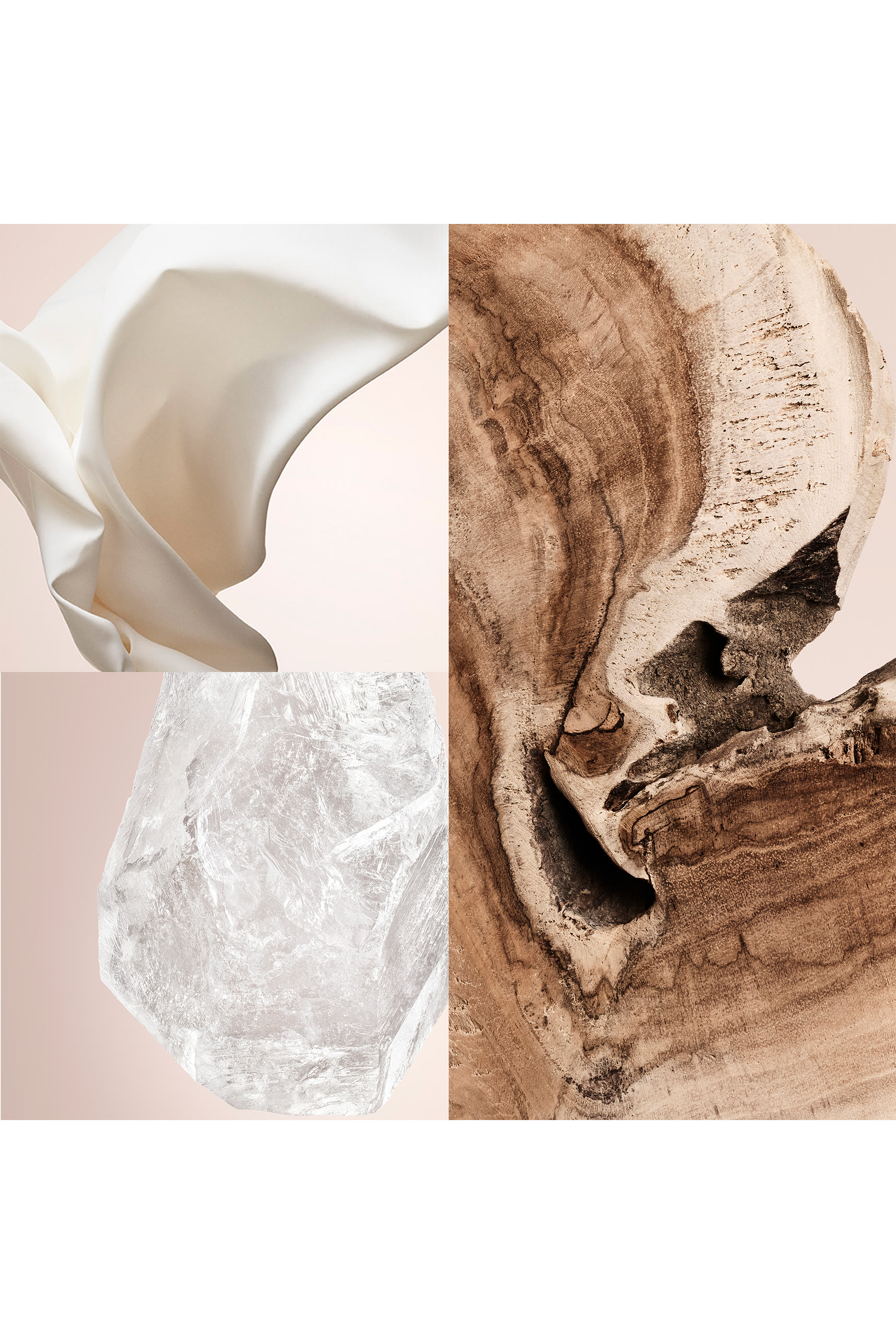 أو دو بارفان سيدار شيك