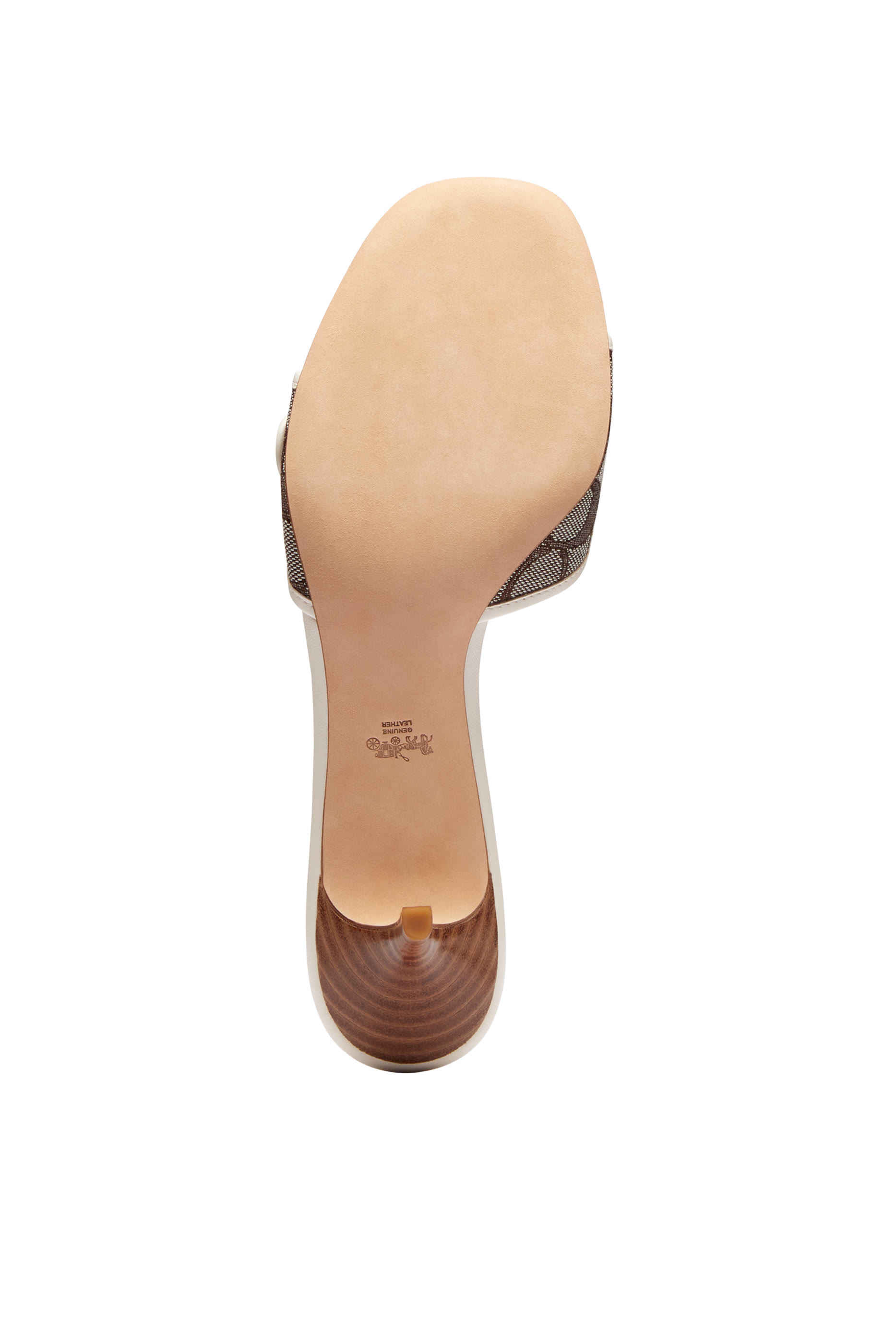 صندل سيغنتشر مارغوت جاكار 57