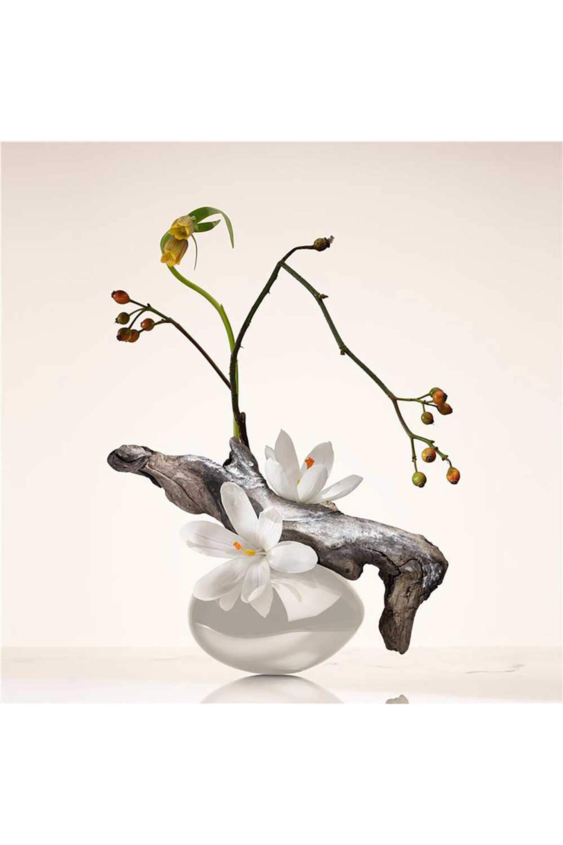 أو و بارفان بريفيه عود ناكري