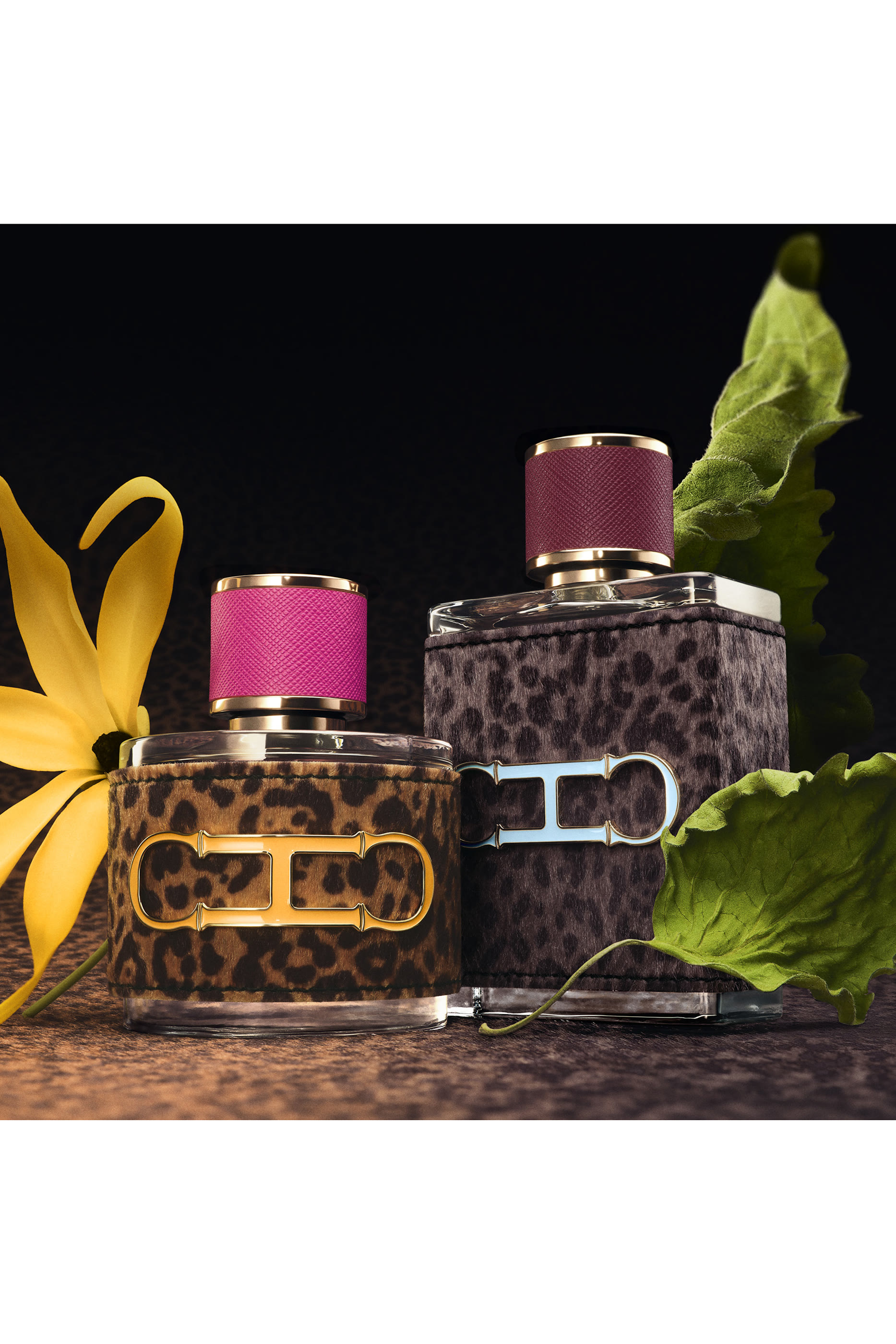 أو دو بارفان سي إتش وايلد لاف للرجال