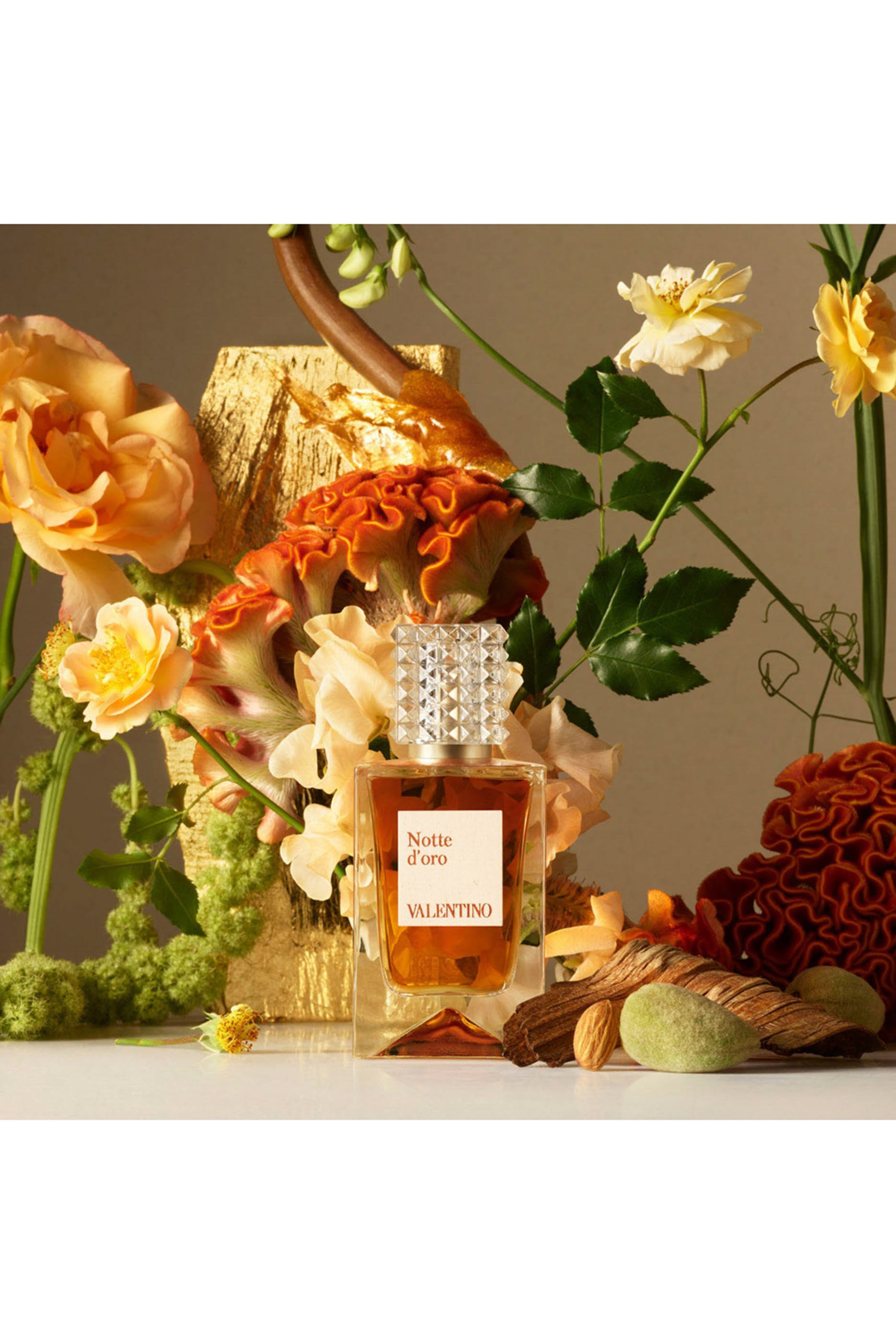 عطر أناتومي أوف دريمز-نوتي دورو