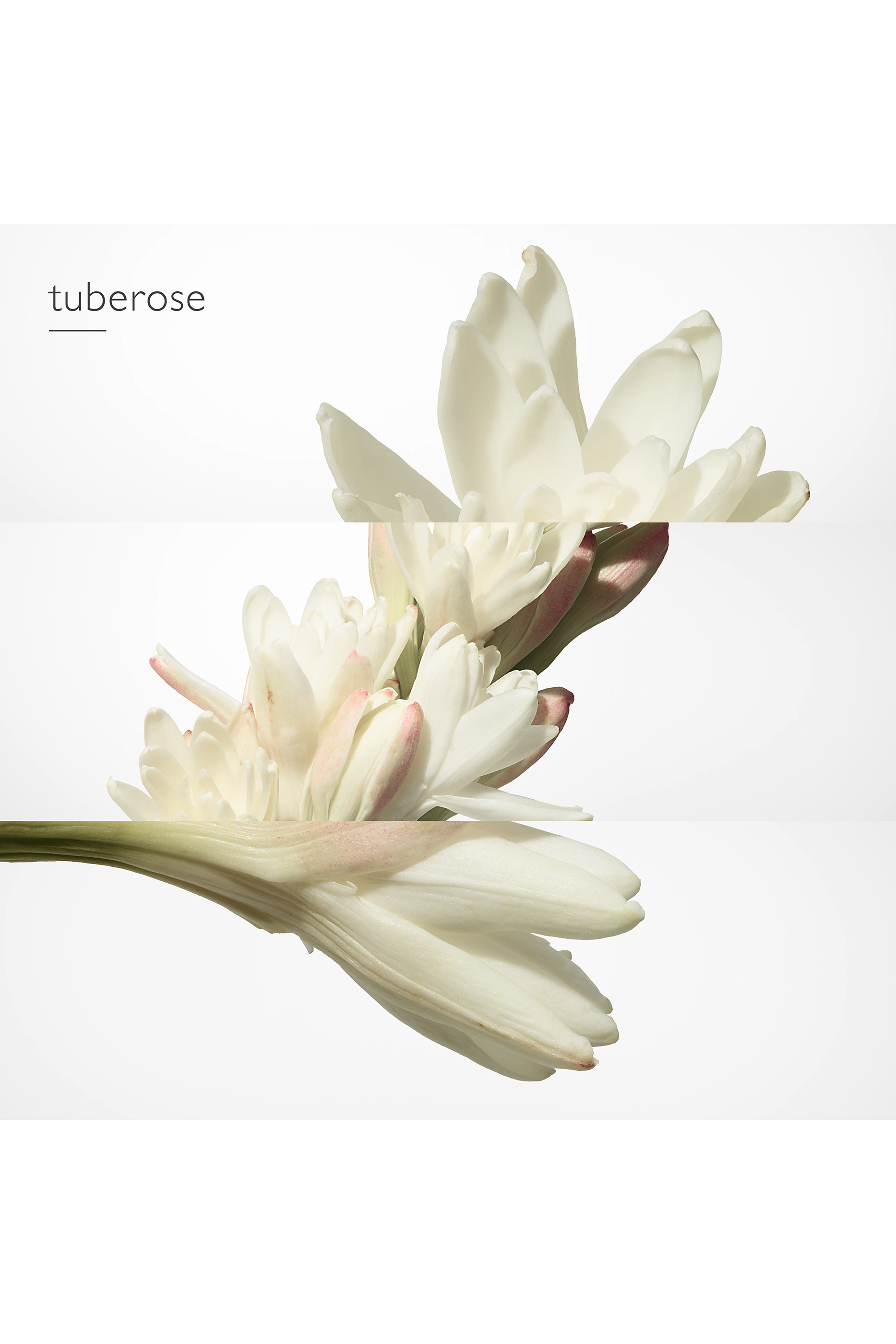 ماء عطر ,Twilly d'Herm&egrave;s